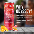 thumbnail image 6 of Odyssey Elixir Energy and Focus Sparkling Mushroom Drink, Passion Fruit Orange Guava Flavor 12 Fl oz (Pack of 12), 6 of 6