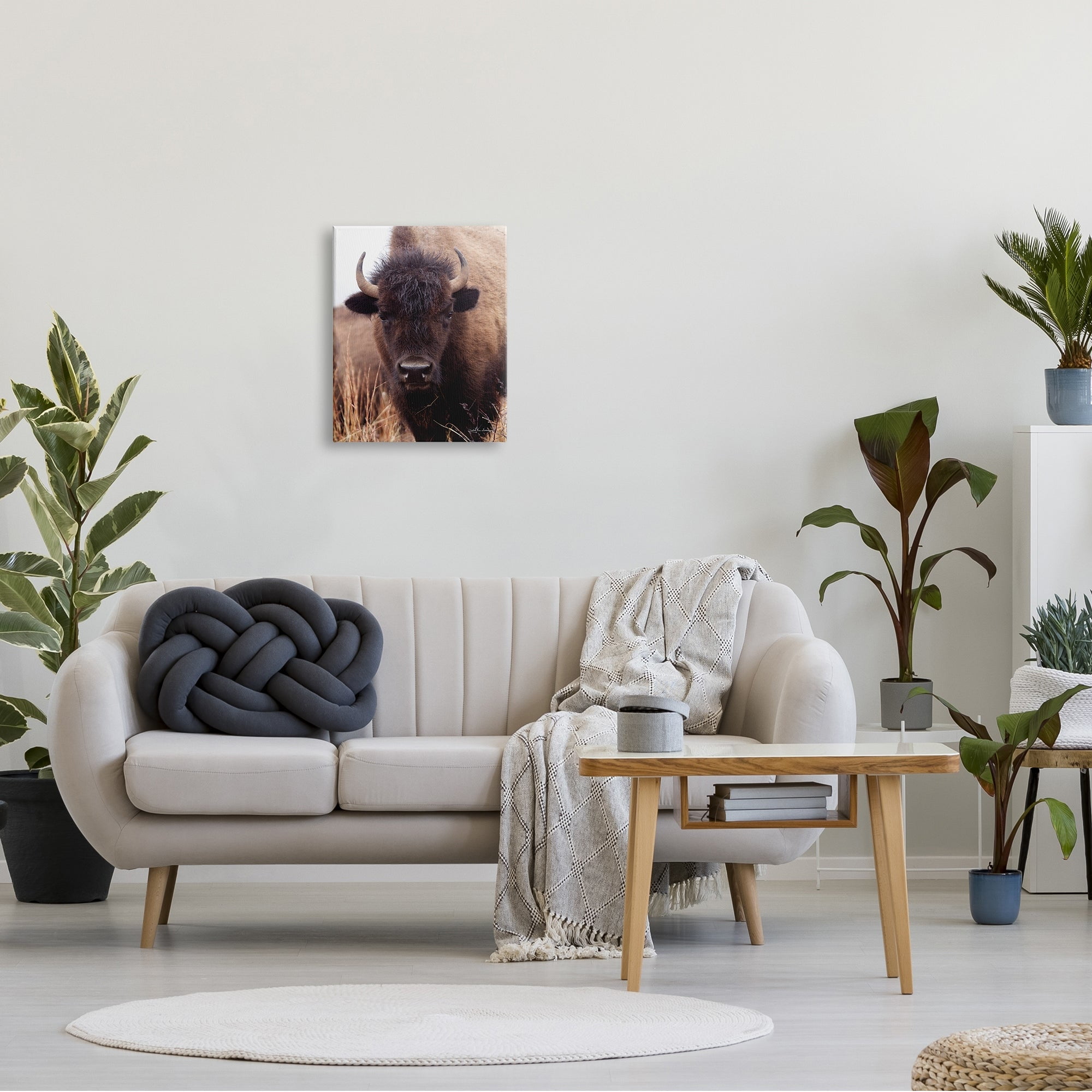 Stupell Industries Tall Grass Bison Portrait Country Cattle Autumn Photography, 16 x 20,Design by Debra Van Swearingen