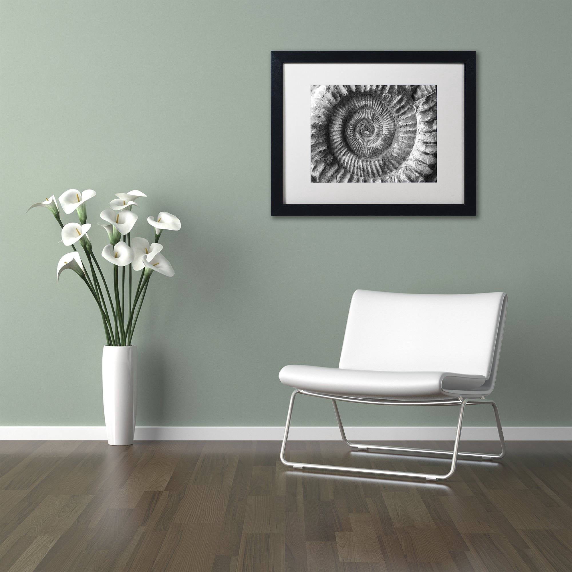 Trademark Fine Art "Amonita 2" Canvas Art by Moises Levy White Matte, Black Frame