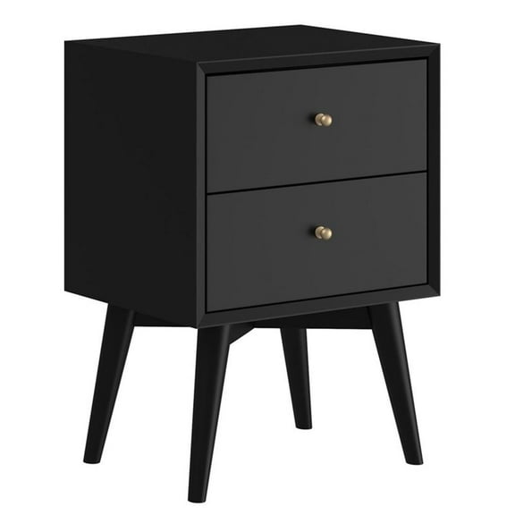 Bowery Hill Mid Century Modern Wood 2 Drawer Nightstand in Black