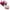 Multicolor 1, variant on Ltctricy 5 Pack Womens Plus Size Bras No Underwire Push up Bralette Breathable Comfort Full Coverage Everyday Bra