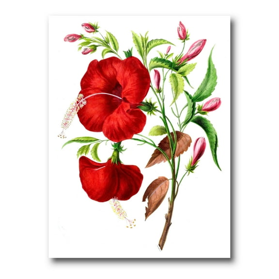 Designart ' Ancient American Flora I ' Traditional Canvas Wall Art Print