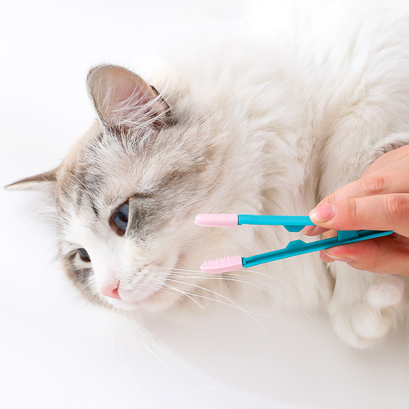 Cat Eye Brush Soft Head Buckle Design Handheld Head Eye Comb Brush for