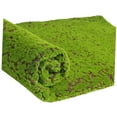 thumbnail image 4 of Luxshiny De Musgo Artificial Para Bonsáis Y Adornos De Acuario Color Verde, 4 of 7