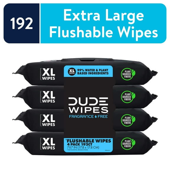 DUDE Wipes Flushable Wipes, XL Wet Wipes for At Home Use, Unscented, 48 Count, 4 Pack