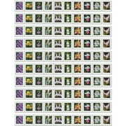 Wild Orchids USPS Forever Postage Stamp Strip of 100 US First Class Postal Flower Birthday Anniversary Wedding Celebration (100 Stamps)