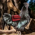 thumbnail image 5 of Chicken Saddle with Straps for Small Medium Large Hens, Breathable Canvas Apron with Metal Snaps for Protection From Rooster Treading, Promotes Ing and Feather Regrowth for Backyard Chicken, 5 of 8