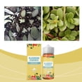 thumbnail image 5 of Meggemo Flower Growth Booster Liquid Fertilizer for Indoor Outdoor Plants Promotes Blooming and Healthy Roots Concentrated Nutrient Solution, 5 of 8