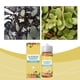 thumbnail image 4 of Solución de Nutrientes de Fertilizante Concentrado de Plantas de Interior Cuidado de la Solución de Crecimiento de Flores 120Ml para Plantas Horticulturales, 4 of 9