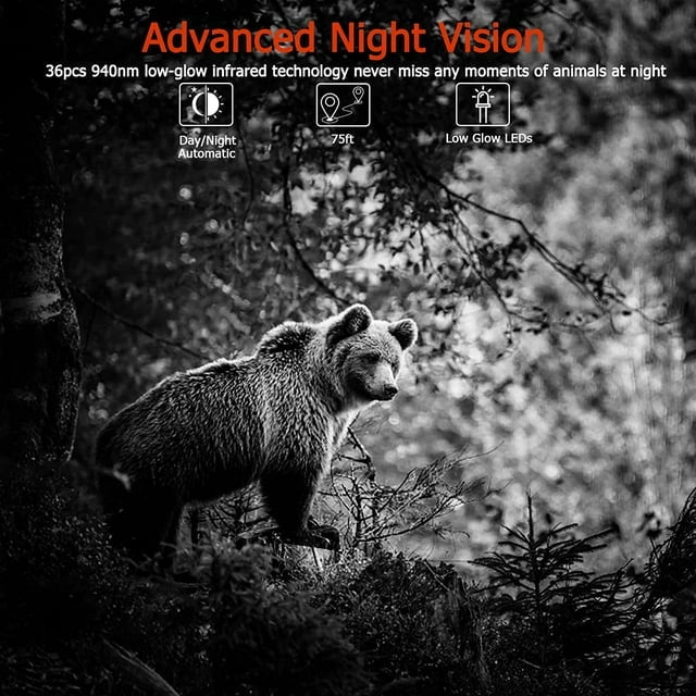 BlazeVideo Hunting Trail Camera BV252GRAY 64MP 1296P Night Vision Motion Activated 1-Pack