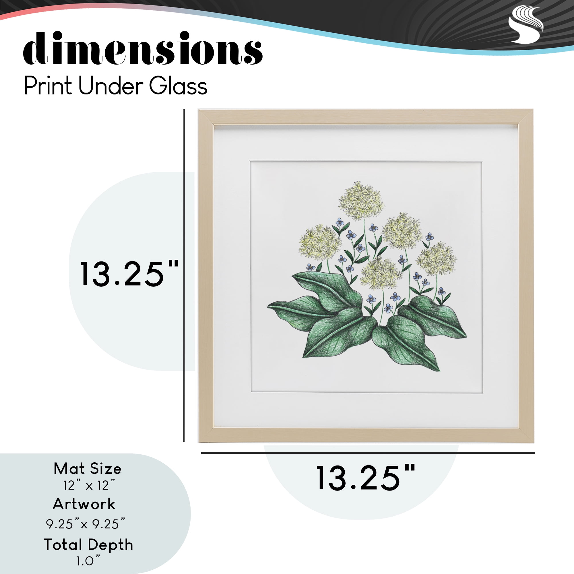 Hello Wildflower Vintage Sketch Birch Framed Print Under Glass, design by Cecilia Battaini