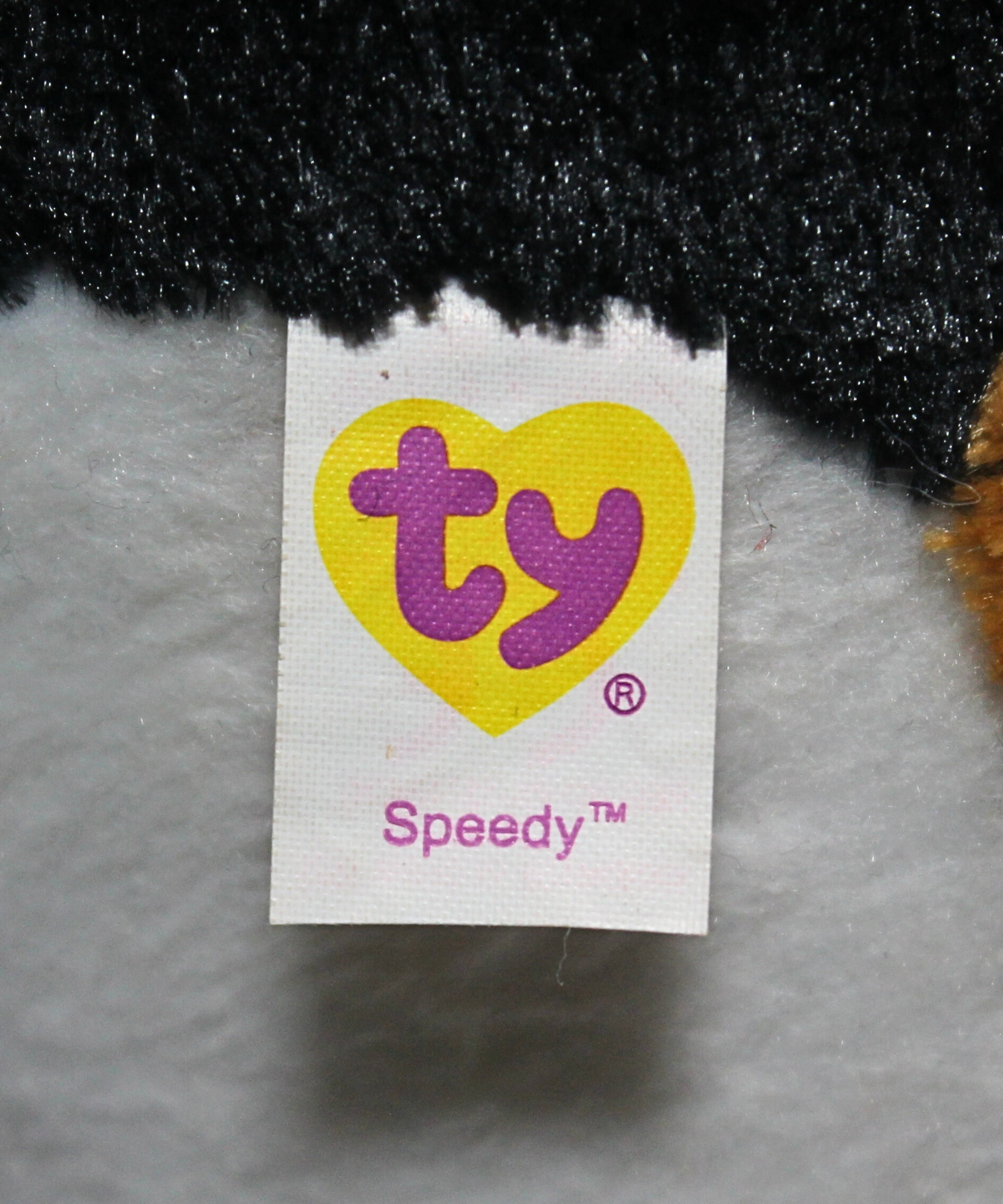 TY Beanie Ballz - SPEEDY the Guinea Pig (Regular Size - 5 inch)