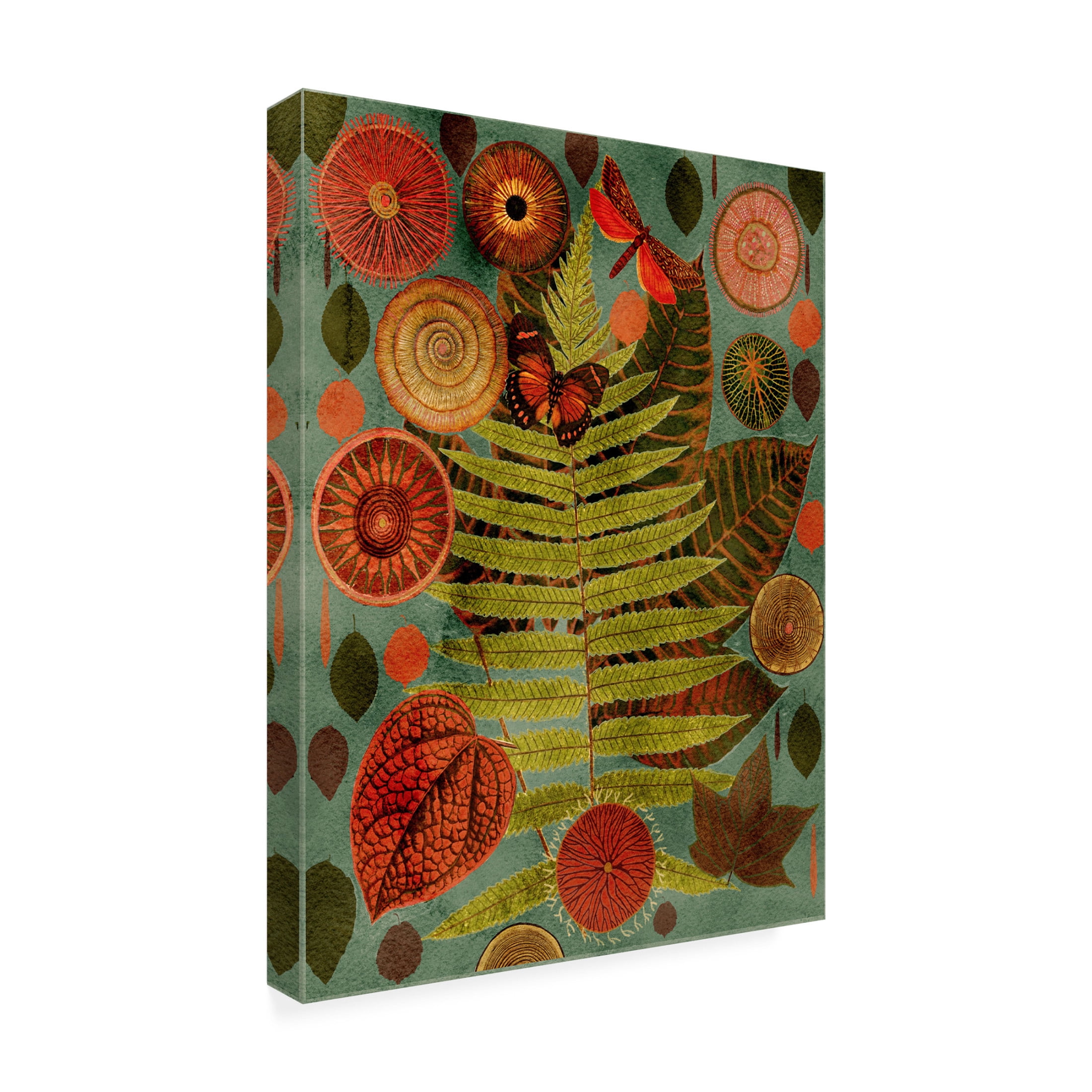 Trademark Fine Art giovanna nicolo  Terracotta Blues Variation Canvas Wall Art