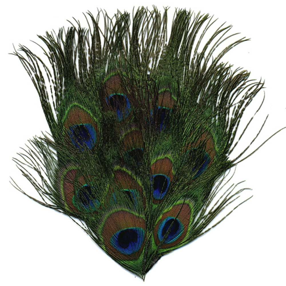 Zucker Feather Peacock Eye Pad Hair Jewelry - Walmart.com - Walmart.com