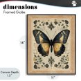 thumbnail image 4 of Stupell Industries Cottage Vintage Butterfly Botanical Illustration Black Framed Giclee Art, 11 x 14, by Arlington Prints, 4 of 8