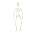 thumbnail image 1 of Hangs Skeleton Decoration for Halloween - Luminous Outdoor Hanging Prop for Party and Home Décor, 1 of 2