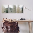 thumbnail image 2 of Stupell Industries Breezy Pampas Tall Grass Photograph Gallery Wrapped Canvas Print Wall Art, Set of 3, Design by Jason Johnson, 2 of 6