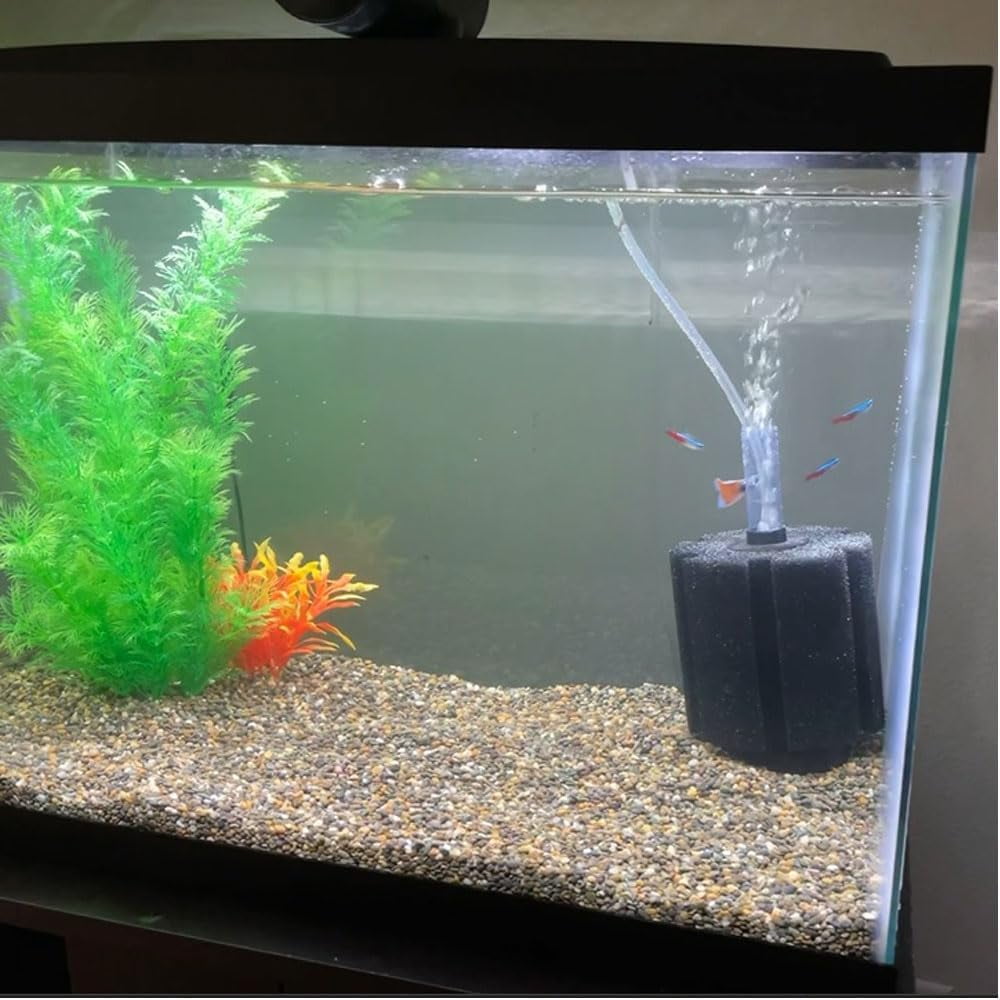 aquapapa bio sponge filter for betta fry aquarium fish tank up to 55 gal, 3-pack (l)