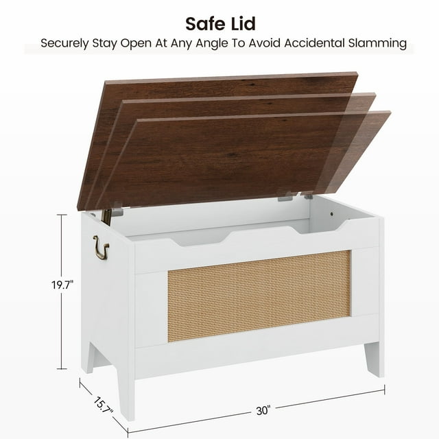 BeesClover Storage Chest, Storage Bench with Safety Hinge, Wooden Storage Trunk, Flip Top Blanket Storage Chest Trunks, Bench Storage for Entryway, Living Room, Bedroom
