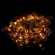 thumbnail image 4 of 3 metros 20 bombillas LED blanco cálido jaula de oro rosa cadena de hadas decoración de luces, 4 of 8