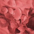 thumbnail image 1 of Ahgly Company Tapis d'Intérieur Lavable en Machine Carré Rouge, 4 Pieds Carré, 1 of 7
