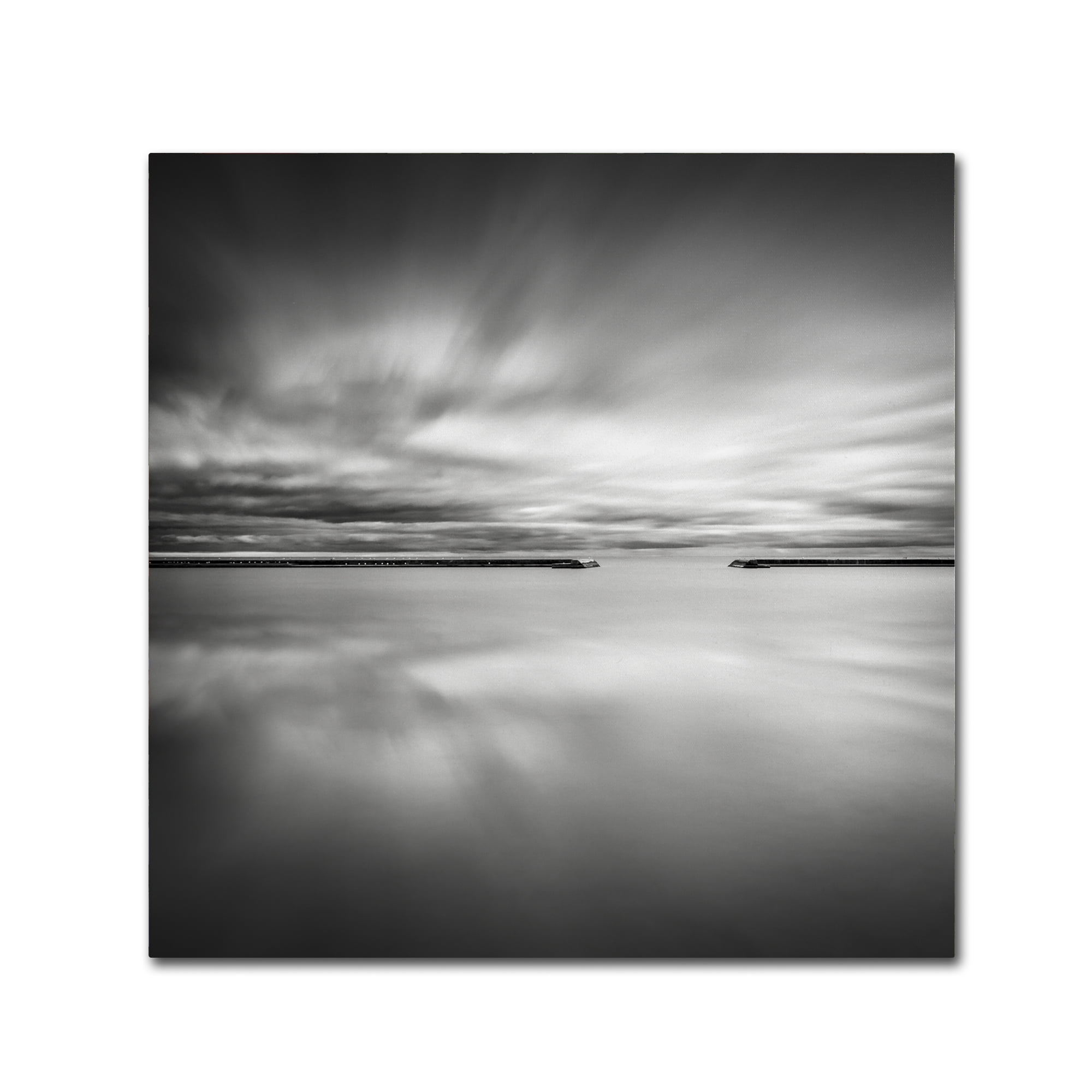 Trademark Fine Art "Double Vision" Canvas Art by Dave MacVicar