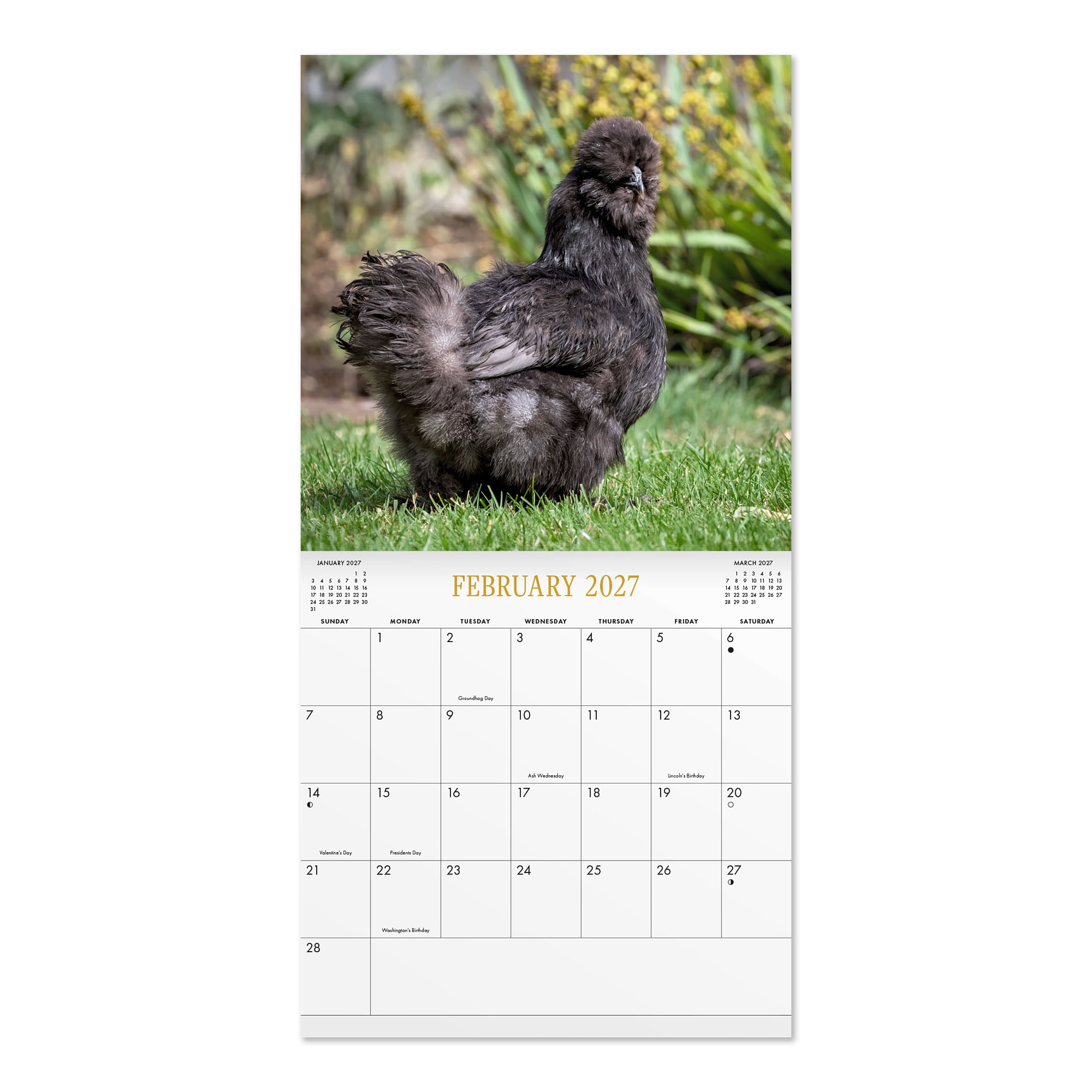 2027 Chickens Wall Calendar 12x12 January-December Gridded
