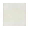 thumbnail image 2 of (2 pack) Better Homes & Gardens Beige Fringe 4 Pack Napkin - 20"x20", 2 of 9