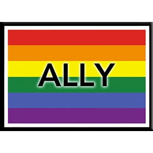 ALLY FLAG - Freezer MAGNET, LGBTQ Licensed Exclusive Original Artwork ...