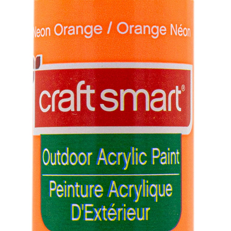 Craft Smart Outdoor Acrylic Paint - Neon - 2 fl oz