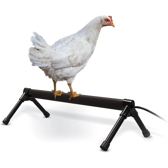 K&H Pet Products Thermo Heated Chicken Perch for Coop, Warming Chicken Heater, Prevents Frozen Toes, Warm Coop Accessories, Lamp Alternative, Safety Listed - Small 26” Black