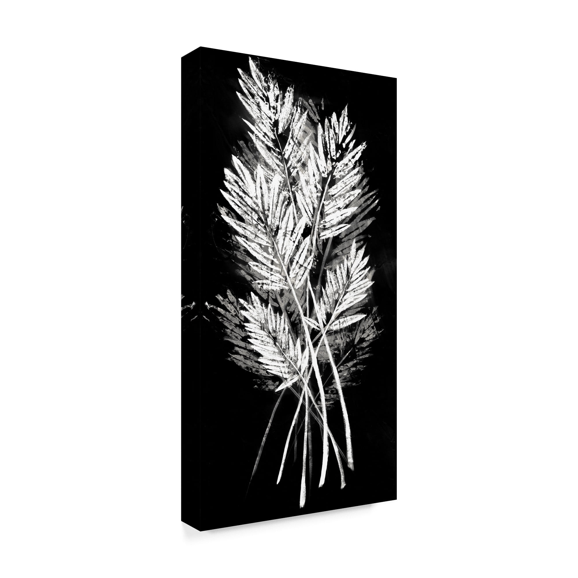 Trademark Fine Art 'Palm Leaf Fresco II' Canvas Art by Vision Studio