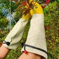 thumbnail image 5 of Guantes largos de jardinería para mujer a prueba de espinas, guante de jardín de cuero de vaca para poda de rosas para cactus, rosas y moras-L, 5 of 5