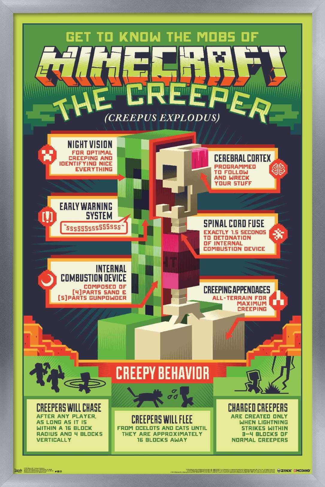 Minecraft Creeper Anatomy Poster