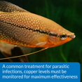 thumbnail image 4 of shiyou-COPPER TEST KIT 90-Test Aquarium Water Test Kit, 4 of 4