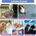 thumbnail image 6 of Cat Diapers, Stretchy Waist Wraps for Male & Female Cats, Heat Period Pink, Super Absorbent Leak-Proof Disposable Diapers for Cats & Dogs, 6 of 9