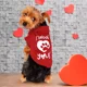 thumbnail image 3 of Sudadera Para Mascota Color Rojo, 3 of 3