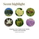 thumbnail image 4 of Aceite esencial Young Living Stress Away, 5 ml, 100% puro, 4 of 6