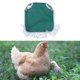 thumbnail image 4 of Sillín de pollo Chaleco de poliéster duradero para protección de plumas Verde blanco Yuyangstore Silla de montar de pollo, 4 of 8