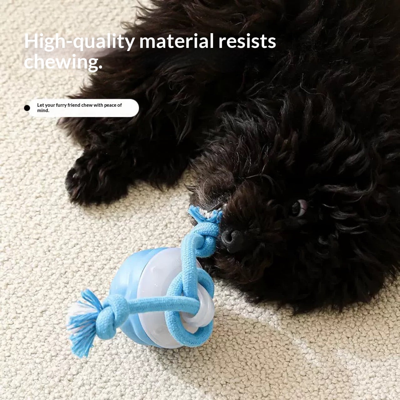 Interactive Dog Toys with Motion Activated, Squeaky Dog Toy Active Rolling Ball for Puppy and Medium Dogs, USB Rechargeable
