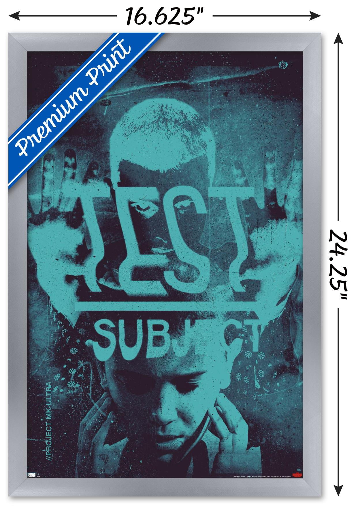 Netflix Stranger Things: Season 4 - Test Subject Wall Poster, 14.725" x 22.375" Framed