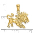 thumbnail image 3 of 14k Yellow Gold Polished Texture Finish Large Size3-D LEO Zodiac Charm Pendant, 3 of 4