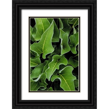 Paulson, Don 23x32 Black Ornate Wood Framed with Double Matting Museum Art Print Titled - WA, Palouse Hills Arrowleaf balsamroot plant