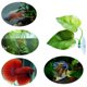 thumbnail image 5 of Almohadilla de desove para peces Betta, ambiente natural, decoración de acuarios, decoración de acuarios para peces Betta (1 unidad), 5 of 5