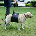 thumbnail image 4 of Harikaji Dog Sling, Dog Lift Harness Support Sling for Elderly or Disabled Dogs, Portable Hip Support Harness Assist Lift Dogs Rear for Canine Aid Dark Grey XL, 4 of 5