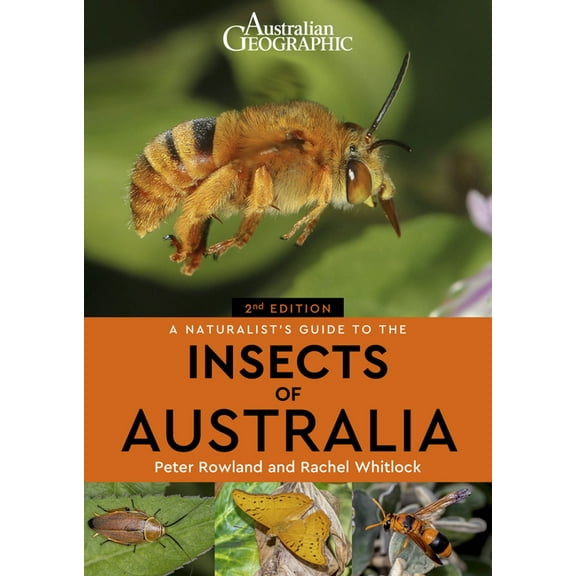 A Naturalist's Guide to the Insects of Australia (Edition 2) (Paperback)