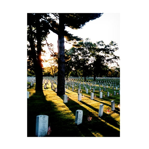 Canvas Wall Art - DANE 'Washington DC 46' Wall Art for Living Room, Bedroom, or Office Décor by Trademark Fine Art - 14 x 19 Inches