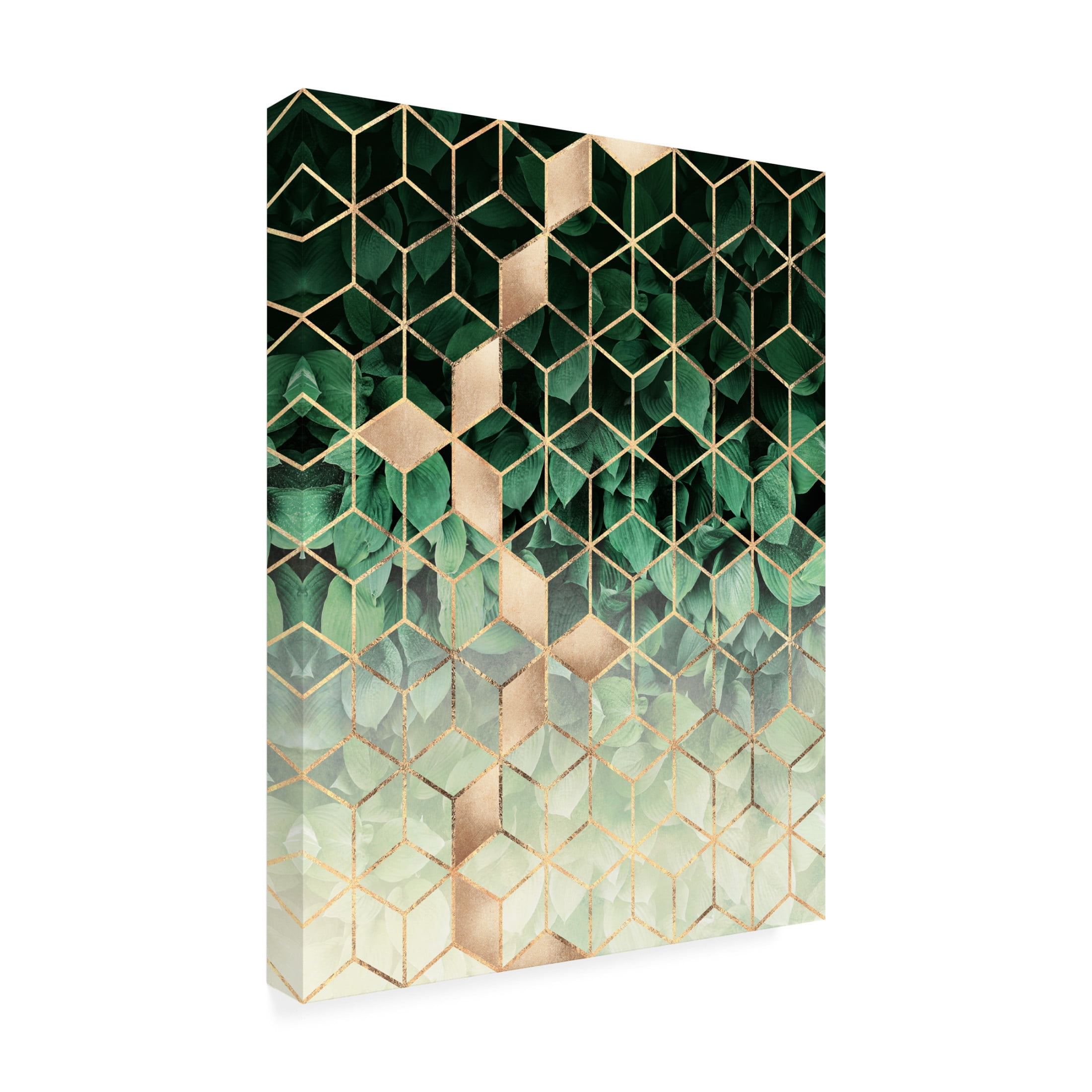 Trademark Fine Art Elisabeth Fredriksson  Leaves And Cubes Canvas Wall Art