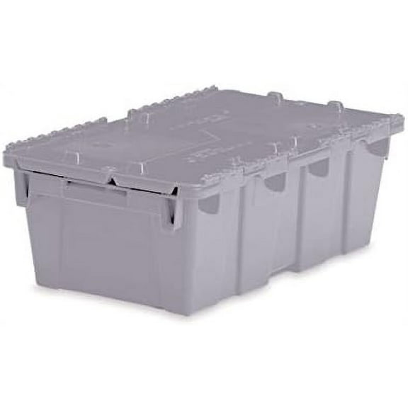 Medium Storage Tote with Lid 19.7" L x 11.8" W x 7.3" H - Gray