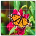 thumbnail image 1 of Picture-Tiles.com: Butterfly Ceramic Tile Wall Mural WAL500287-44L. 32"W x 32"H using (16) 8" x 8" Ceramic Tiles-Satin Finish, 1 of 3
